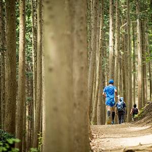 greentrail  prew